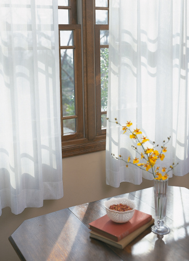 lace curtain 21